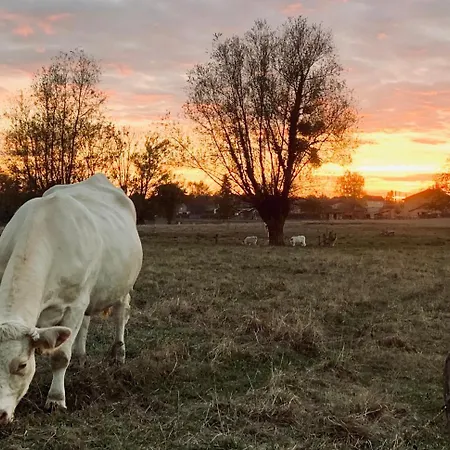 Les Heures Claires Briennon